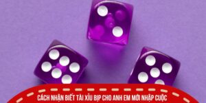 Cách Nhận Biết Tài Xỉu Bịp Đơn Giản Ai Cũng Nên Biết 15 Cách nhận biết tài xỉu bịp cho anh em mới nhập cuộc
